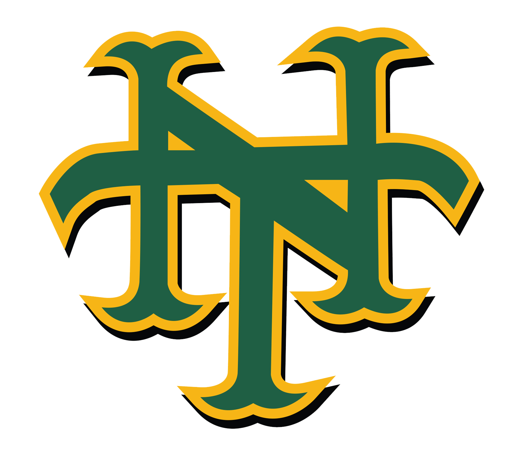 Nova logo